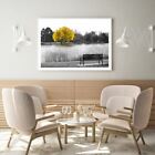 Yellow Tree on River Photograph Print Premium Poster High Quality choose sizes