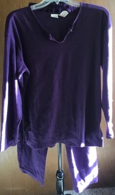 Conjunto de pijama de felpa púrpura Gilligan & O'Malley talla M 2 piezas ropa para dormir para mujer Foto 1 de 4