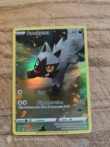 Poochyena - GG33/GG70 - Pokemon Crown Zenith Galarian Gallery Holo Card NM - Picture 1 of 2