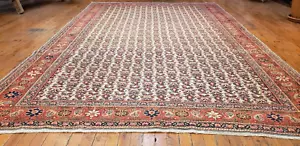 Bohemian 1930-1940s Antique Wool Pile Natural Dye Bunyan Area Rug 6'1"×9'8" - Picture 1 of 10