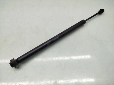 A2217200716 AMORTIGUADOR CAPOT / 2973832 PARA MERCEDES-BENZ CLASE S W221, V221 - Imagen 1 de 4