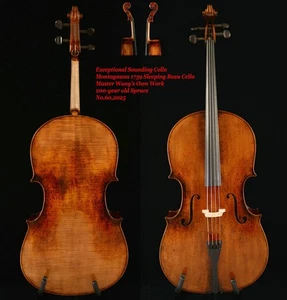 Außergewöhnlich klingendes Cello Montagnana Cello 200 Jahre alte Fichte Nr. W60 - Bild 1 von 16