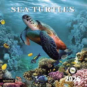 2026 Wandkalender Meeresschildkröten Nov 2025-Dez 2026, 12" x 24" Meerestiere - Bild 1 von 12