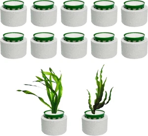 12 Pack New Upgrade Aquarium Plant Weights, Aquatic Plants Fixed Ring Set, Anti- - Picture 1 of 12