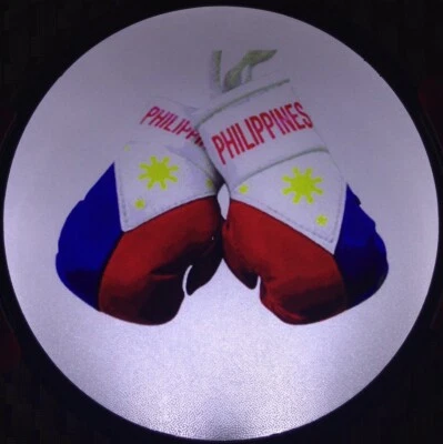 Guantes de Boxeo Filipinas Iluminar Calcomanía Retroiluminada LED Detección de Movimiento Calcomanía Foto 1 de 3