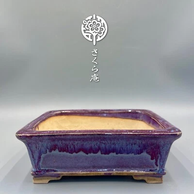 Japanese Bonsái pot "FUKUDA KEIUN" W:17cm 7.0in/L:5.7in/H:2.4in From JAPAN #240 - Image 1 of 4