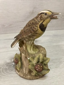 Vintage "The Gallery of Birds By Gorham" - Wiesenlerche Vogel Fehldruck Weißkopfseeadler - Bild 1 von 7