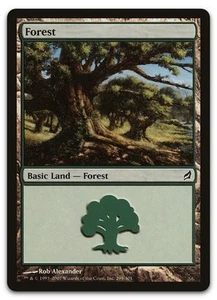 Forest (299) #299 (NM) Lorwyn LRW Magic MTG - Picture 1 of 2