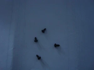 Boss Pedal Bottom Plate Screws 4 pcs - Picture 1 of 1