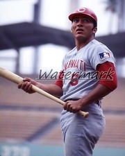 MLB 1969 Johnny Bench Cincinnati Reds Color 8 X 10 Photo Picture