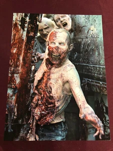 WALKING DEAD POSTER 11X14"NM SHIPPD FLAT WALKER 6 - Picture 1 of 2