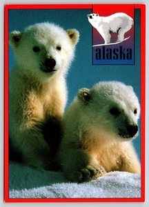 Postal adorable oso polar cachorros Alaska Ursus maritimus - Imagen 1 de 2