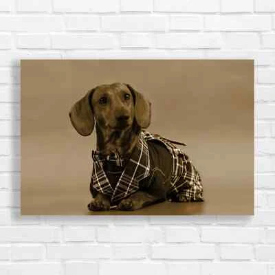 Dapper Dachshund Sepia Canvas Print Large Picture Wall Art - Image 1 of 4