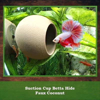 CJAQUATIC Faux Kokos Fischhöhle mit Saugnäpfen - Betta Hide, Terrarium Aquarium Versteck
