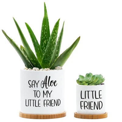 Say Aloe to My Little Friend Planter Plant Lover Conjunto de 2 Spring Funny Pun Fl... - Imagem 1 de 4