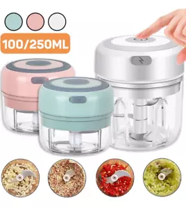 1pc USB Rechargeable Electric Garlic Chopper - 250ml Mini Food Processor -NEW - Picture 1 of 11