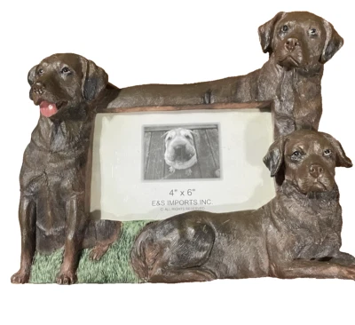 Фоторамка E&S импорт лабрадор ретривер шоколад лаборатория собака 4 дюйма x 6 дюймов - Изображение 1 из 4