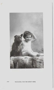 (8384) Old RPPC Precious Fuzzy Head Child Poses with Mutt Pet Dog on Blanket - Picture 1 of 1