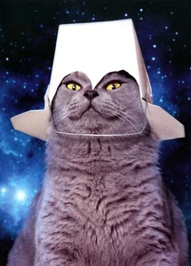 Funny HAPPY BIRTHDAY Pop-Up Card, Takeout Space Cat Kitten by Avanti + Envelope - Picture 1 of 5