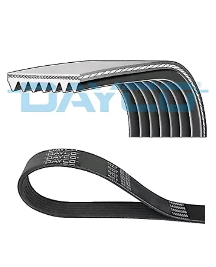 6PK1059EE DAYCO V-Ribbed Belt for FORD,VOLVO - Image 1 of 1