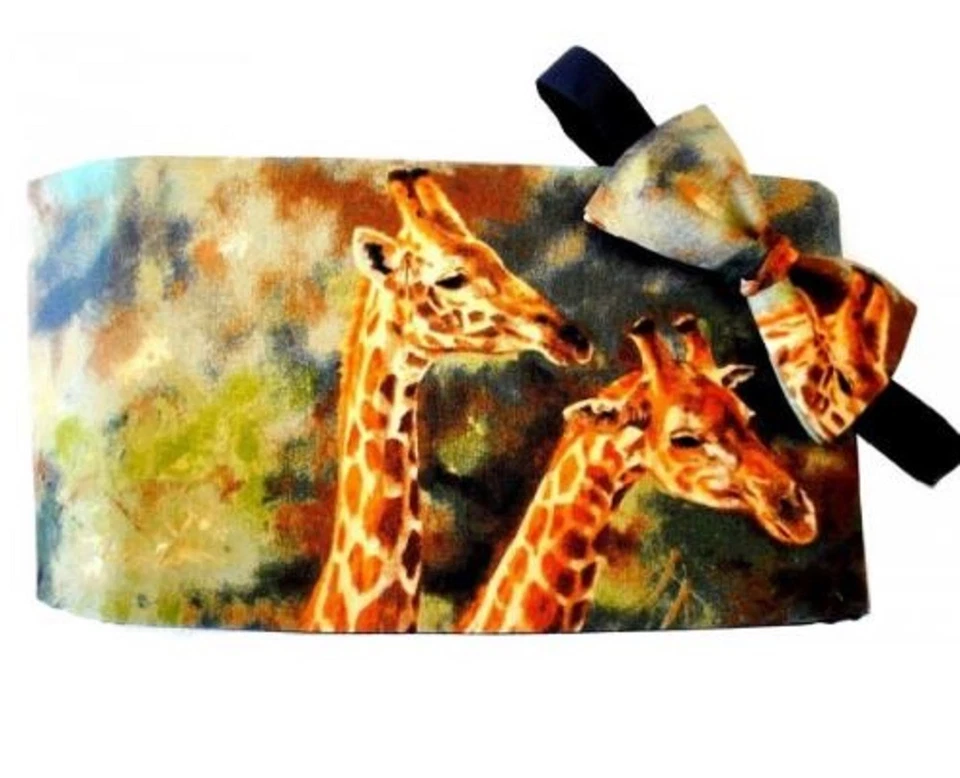 Juego de faja y pajarita de jirafas en safari Foto 1 de 1