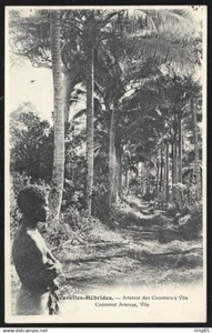 CPA -- NEUE HEBRIDEN. AVENUE DES COCOTIERS A VILA. 309.K* - Bild 1 von 1