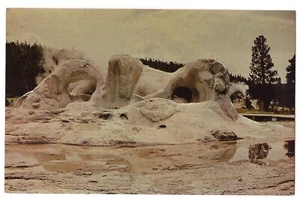 GROTTO GEYSER Yellowstone National Park Near Old Faithful Wyoming Postcard WY - Picture 1 of 2