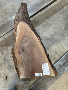 Black Walnut Slab #1947, live edge slab, unfinished, free shipping - Picture 1 of 6
