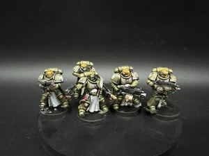 Warhammer 40k Sternguard Veterans Raptors Pro pintado hecho a pedido - Imagen 1 de 2