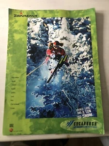 SUGARBUSH VERMONT DYNASTAR JOHN EGAN Vintage Ski Poster 17” X 23” MAD RIVER VAL - Picture 1 of 10