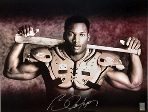 Bate y almohadillas firmadas por Bo Jackson 16 x 20 Nike y Bo holograma Bo Knows - Imagen 1 de 2