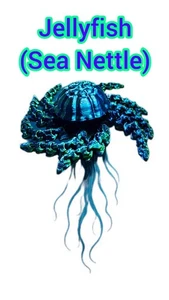 Flexi-Mech Meeresbrennnessel Qualle mehrfarbig beweglich 3D-gedruckt Zappelspielzeug - Bild 1 von 11