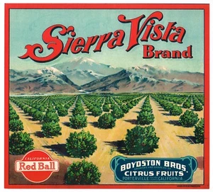 KISTENETIKETT PORTERVILLE SIERRA VISTA VINTAGE 1920ER STONE LITHO ORCHARD ORIGINAL - Bild 1 von 1