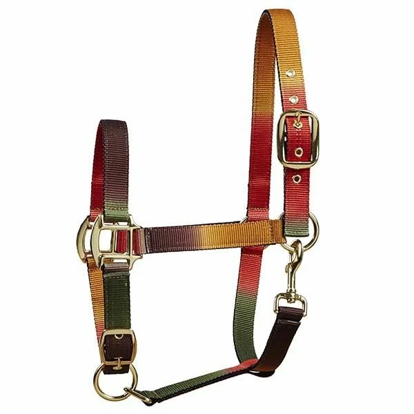 Horse Riding Headcollar Ryevale - PONY - Multi Coloured - Elico - Image 1 of 1
