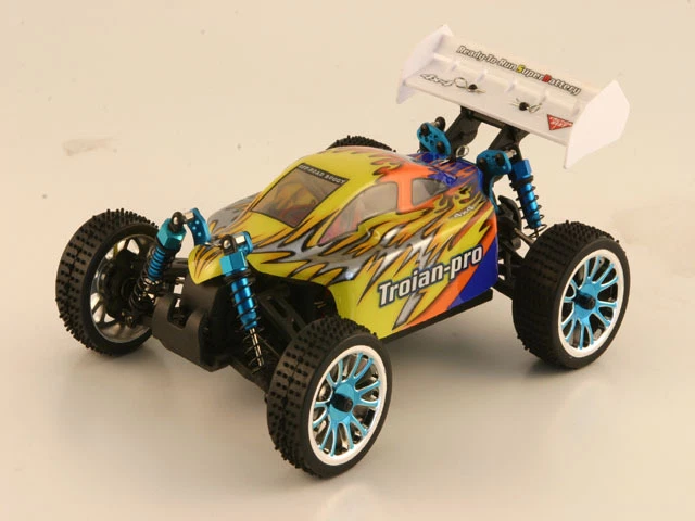 rko1450-01 auto 1/16 1:16 elettrica buggy off roads 4wd 2.4ghz bruschles motore  - Immagine 1 di 1
