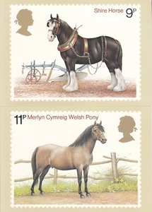 GB 1978 - Vollblutpferde Postkarte x 4 Ref: PHQ 30 - Bild 1 von 2