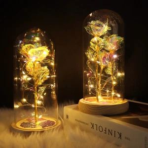 LED Ewige Rose im Glas Geburtstag Valentinstag Geschenk für Frauen Schöne Biest - Bild 1 von 19