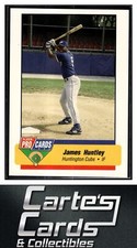 James Huntley 1994 Fleer ProCards #3560  Huntington Cubs