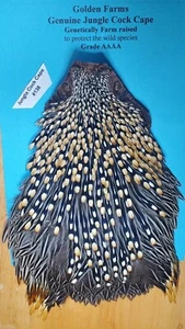 Jungle Fowl Cape USA Grade AAAA Super 138 - Picture 1 of 4