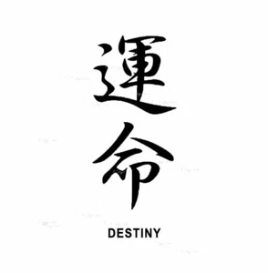 Destiny Kanji Symbol Vinyl Decal Sticker for Home, wall, décor, bar, café - Picture 1 of 11