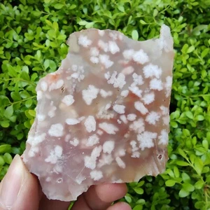 Muestra mineral de forma libre losa de ágata flor de cerezo natural sin pulir 26G 4843 - Imagen 1 de 12