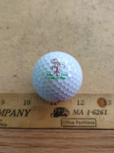 GOLF BALL LOGO Snee Farm Country Club , Mt Pleasant , SC - Picture 1 of 4