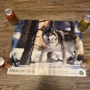 Vintage mexikanischer grauer Wolf Poster Arizona Spiel und Fisch 20 x 16 Zoll - Bild 1 von 4