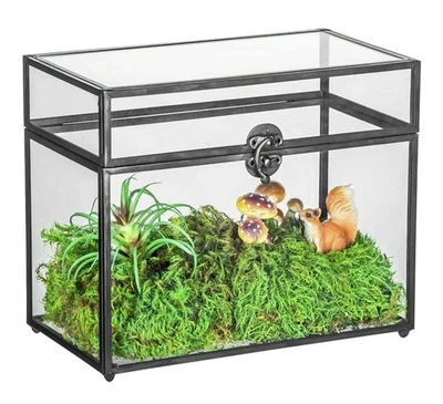 Caja de tarjetas de vidrio pequeña NCYP de 9,8 x 5,6 x 7,7 pulgadas con tapa para boda... Foto 1 de 4