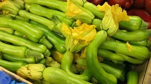 ☺5 graines de courgette violon (courge aussi jusqu'à 5kg) - Foto 1 di 1