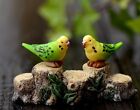 4 pcs Miniature Parrot Fairy Garden Ornament Cute Terrarium Bird FAST US SHIPPIN