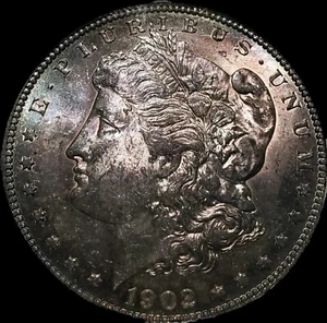 1902 O $1 Morgan Silver Dollar . Amazing Iridescent Tonning . Superb MS-BU  - Picture 1 of 2