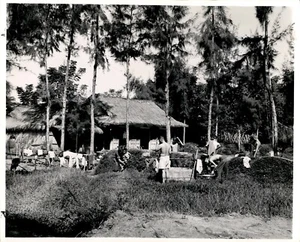LD240 1965 Original Photo MARINES WASHED WITH WELL WATER Vietnam War Camp Shower - Picture 1 of 2