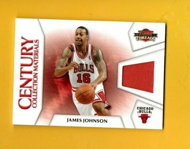 D14556 2010-11 Panini Threads Century Collection Materials James Johnson #/399 - Image 1 of 1