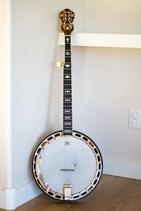 USED Fender FB-59 Bluegrass Banjo Scruggs Style Brass Tone Ring 5 String Banjo - Picture 1 of 9